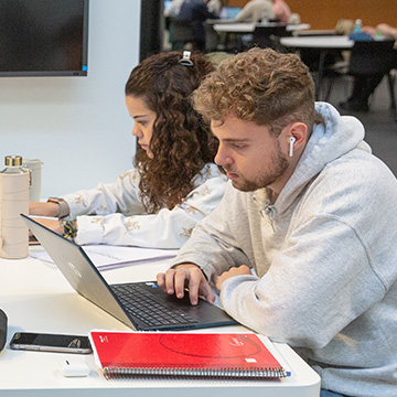 Grado en Economía/Bachelor in Economics y Data Analytics + Artificial Intelligence Program